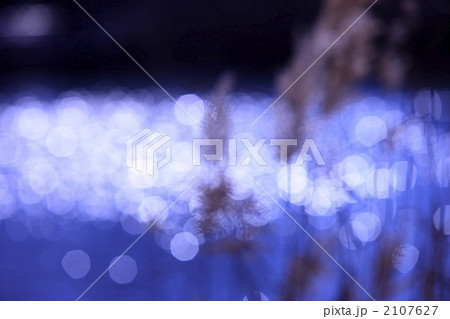 冬のイメージ　井の頭公園 2107627