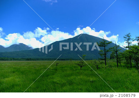 戦場ヶ原 2108579