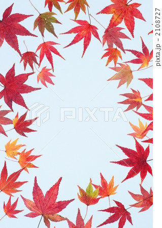 紅葉 紅葉 2108727