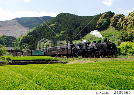 茶畑と蒸気機関車 2109660