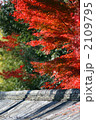 京都の紅葉 2109795