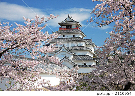 鶴ヶ城と桜 2110954