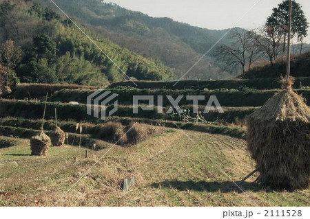 飛鳥の里 2111528