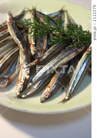 きびなご 2112270