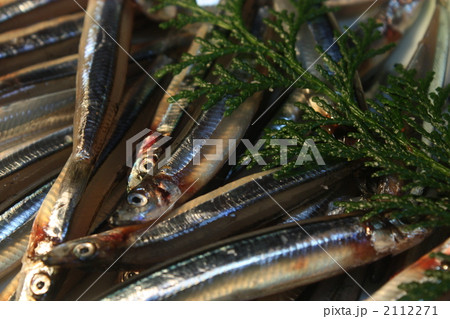 きびなご きびなご 2112271