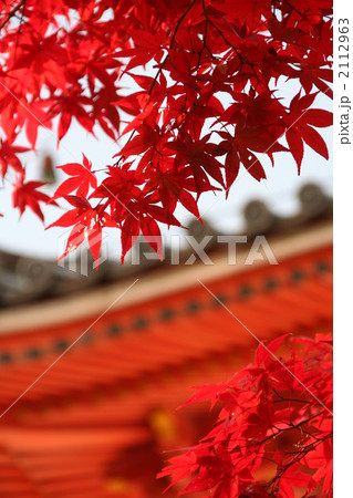 お寺と紅葉 2112963