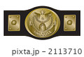CHAMPION BELT 2113710