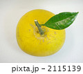 自家菜園の葉付き晩白柚 2115139