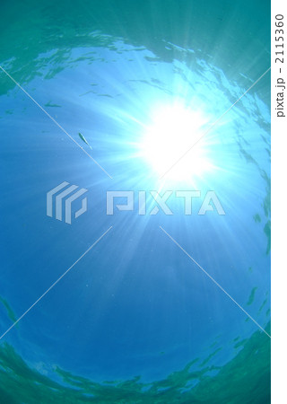 太陽 太陽 2115360