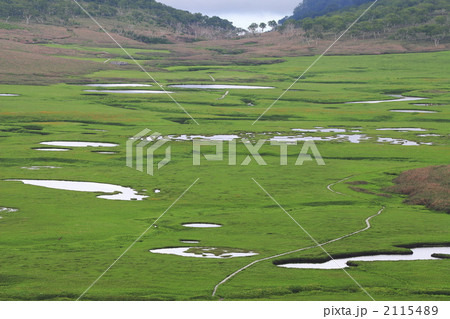 湿原展望台から見る雨竜沼湿原 01 2115489