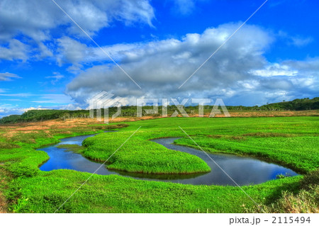 青空と雲と雨竜沼湿原 2115494