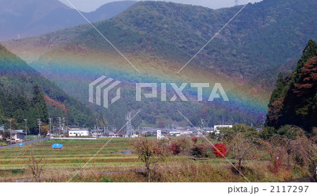 夢の架け橋 2117297