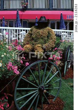 80692　ロレンシャン高原　カナダ 2118263