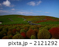 コキアの丘 2121292