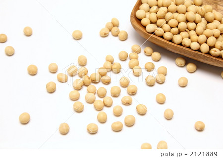 白大豆 白大豆 2121889