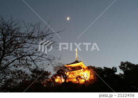 横浜三渓園の三重塔の夜 2122456