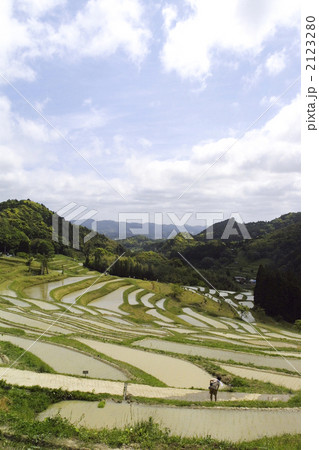 棚田百選大山千枚田の春 2123280