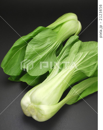 青梗菜 青梗菜 2123656