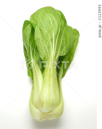 青梗菜 2123693
