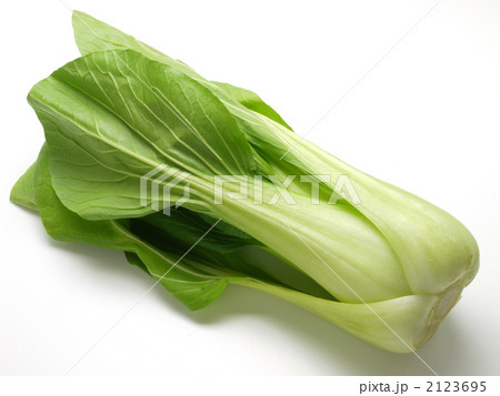 チンゲンサイ 2123695