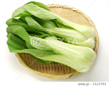 青梗菜 青梗菜 2123701