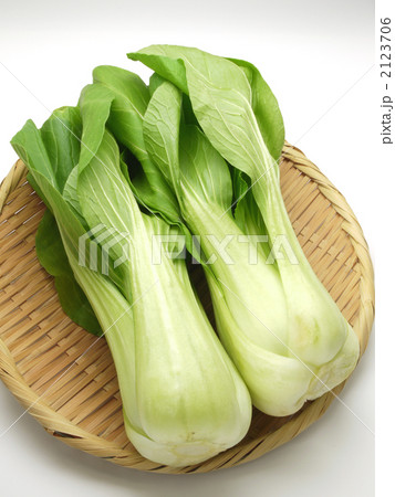 ちんげん菜 2123706