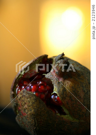 ざくろ（縦） 2123946