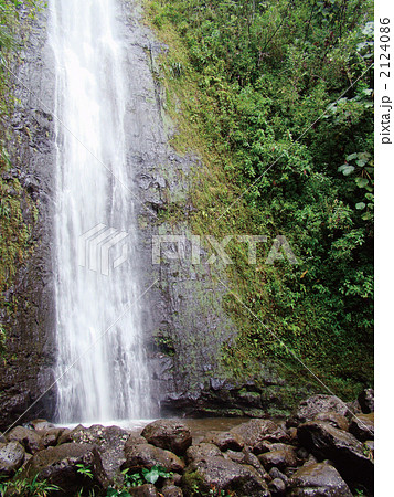 マノアフォールズ 2124086