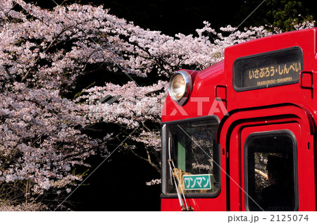 桜といさぶろう・しんぺい号 2125074