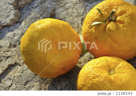 柚子の実 2126545