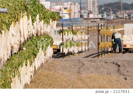 大根干し 2127031