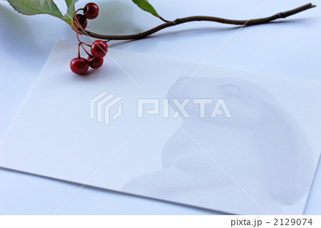 卯年のカードとヤブコウジ 2129074