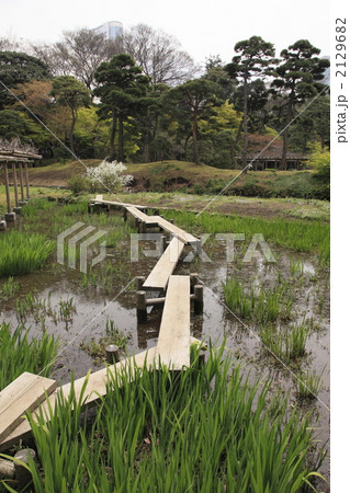 春の小石川後楽園 2129682