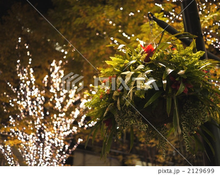 クリスマスシーズンのハンギング クリスマスシーズンのハンギング 2129699