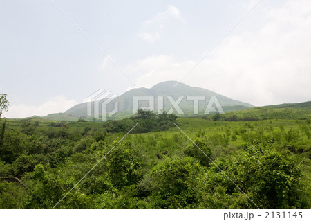 阿蘇 熊本 森林 大地 2131145