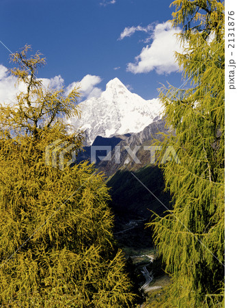 四姑娘山の秋 四姑娘山の秋 2131876