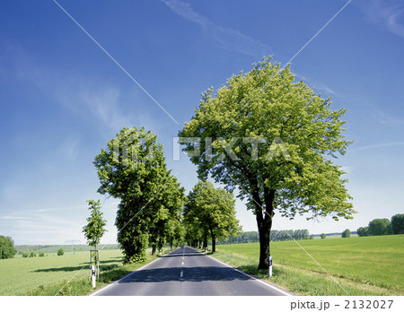 ハルツ山地方の並木道 2132027