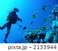 ボラボラ島 2133944