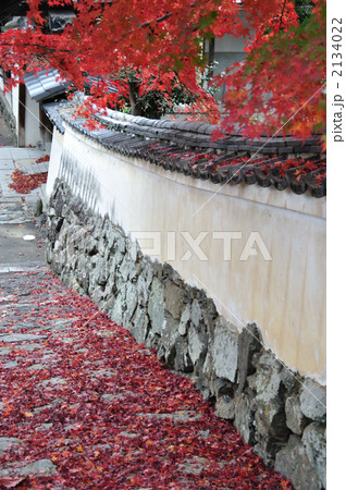 漆喰塀の参道と紅葉 2134022