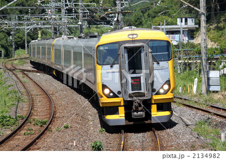 E257系500番台　特急型電車 2134982