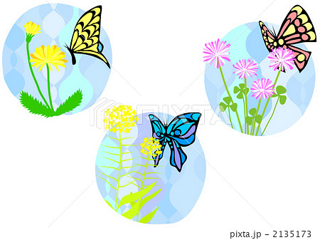 花と蝶のイラスト素材