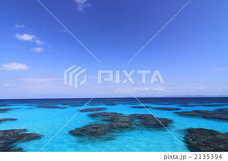 青・蒼！ 2135394