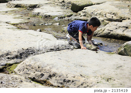 磯遊び 2135419