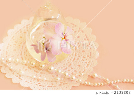 やさしい色合いのビオラ 2135808