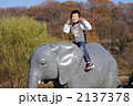 ゾウ 2137378