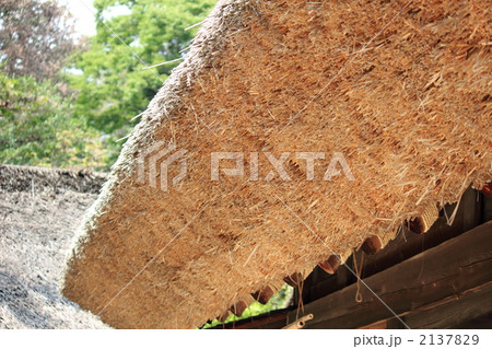 茅葺き 2137829