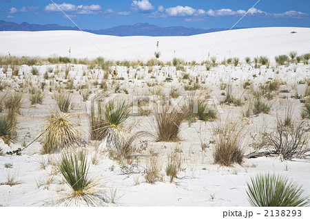 アメリカ　ニューメキシコ　ホワイトサンズ 2138293