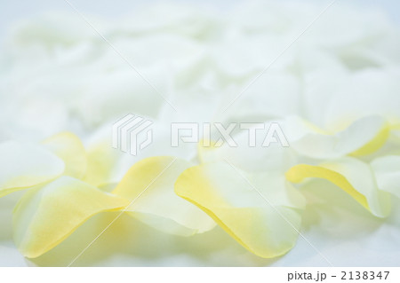 薔薇の花びら（寒色） 2138347