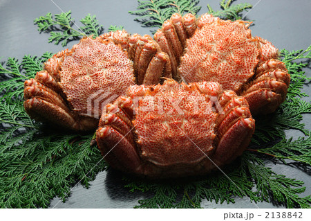 毛がに 毛がに 2138842