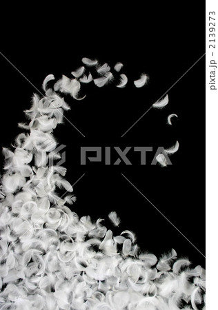 羽根 羽根 2139273